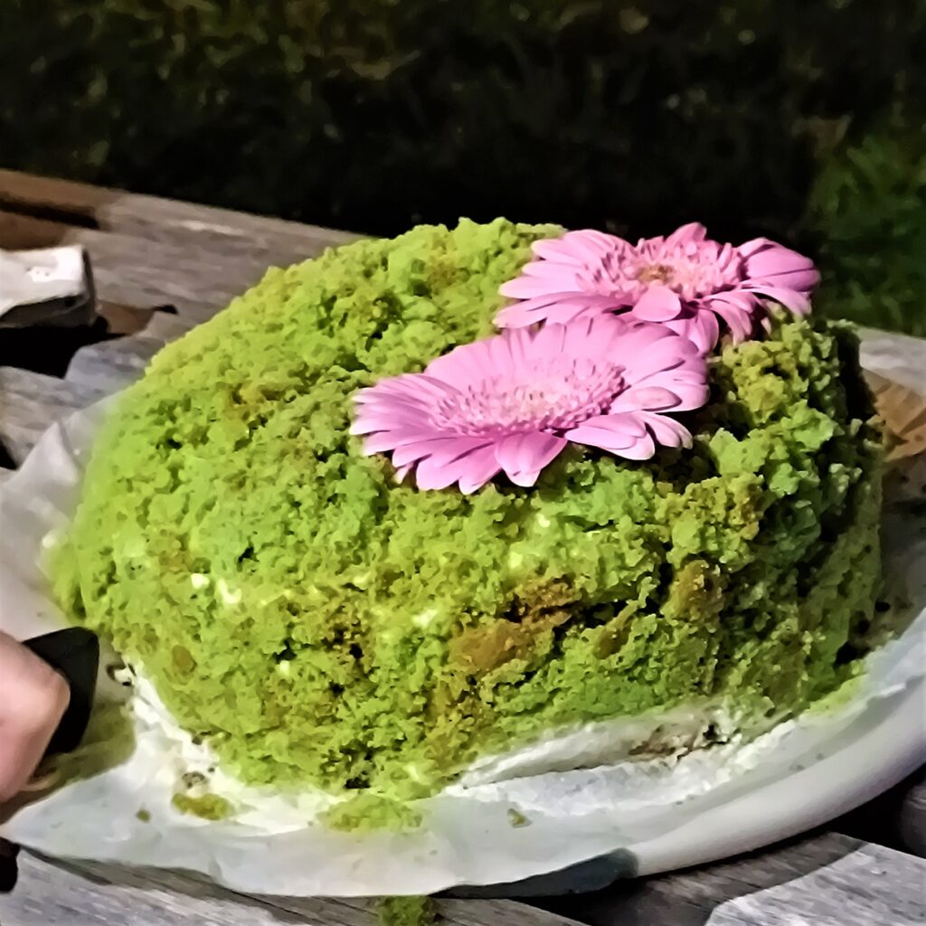 Krtkův dort nazdobený do mechové stylu a s dvěma růžovýma květinama na vrchu.